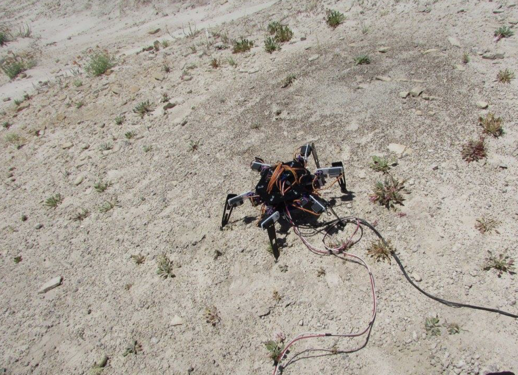Hexapod robot prototype image 1