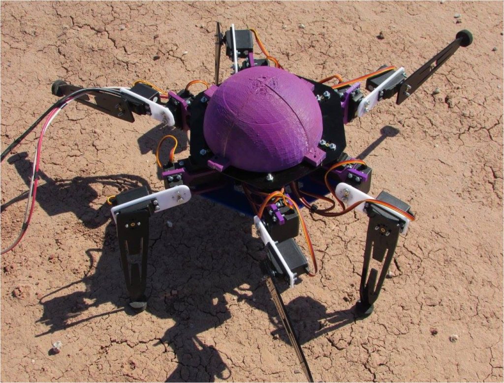 Hexapod robot prototype image 2