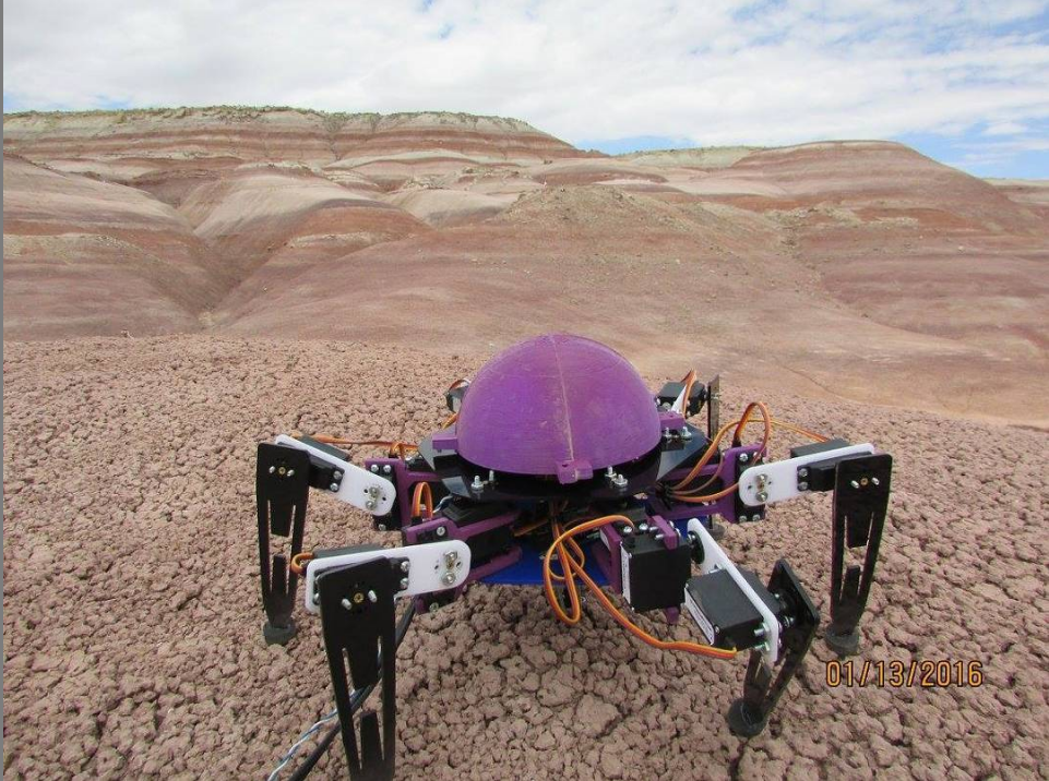 Hexapod robot project field image