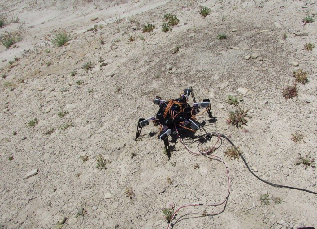 Hexapod2